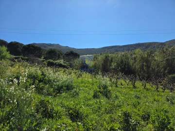 Terreno para Venda em Lamas e Cercal