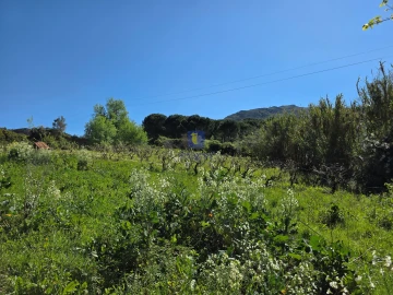 Terreno para Venda em Lamas e Cercal