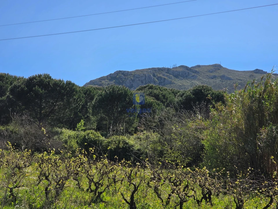 Terreno para Venda em Lamas e Cercal Foto 1