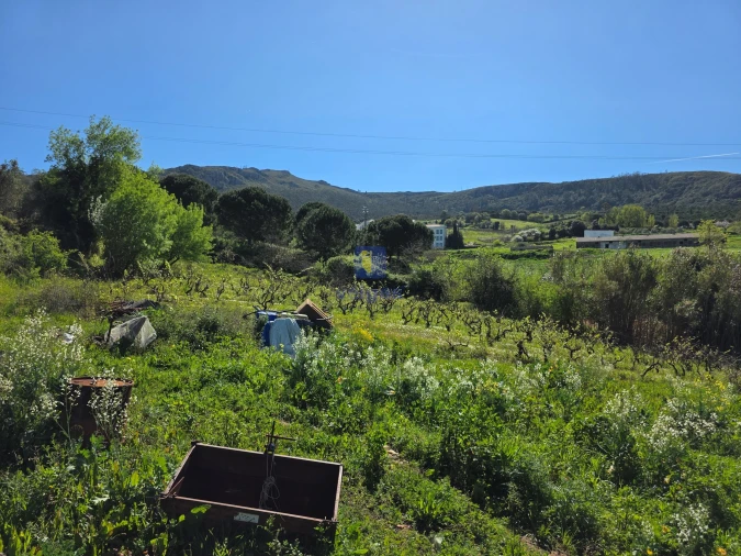 Terreno para Venda em Lamas e Cercal Foto 5