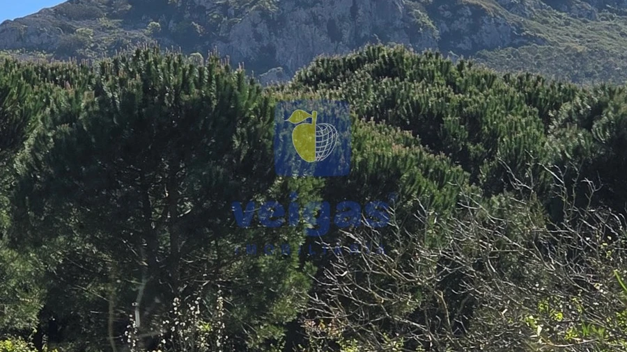Terreno para Venda em Lamas e Cercal
