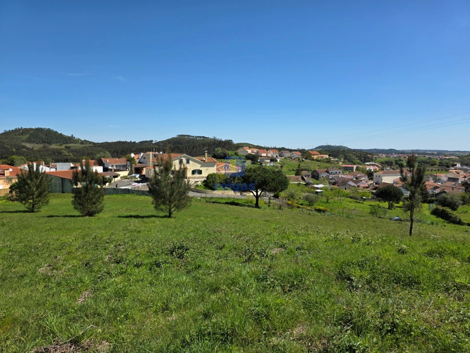 Terreno para Venda em Lamas e Cercal Foto 5