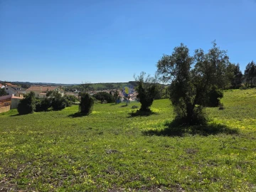 Terreno para Venda em Lamas e Cercal