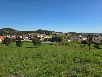 Terreno para Venda em Lamas e Cercal