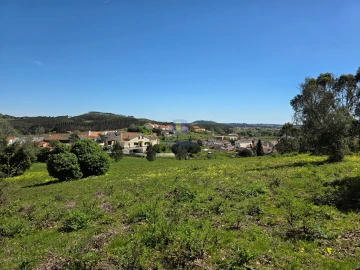 Terreno para Venda em Lamas e Cercal