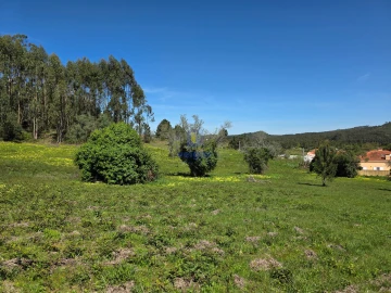 Terreno para Venda em Lamas e Cercal