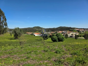 Terreno para Venda em Lamas e Cercal