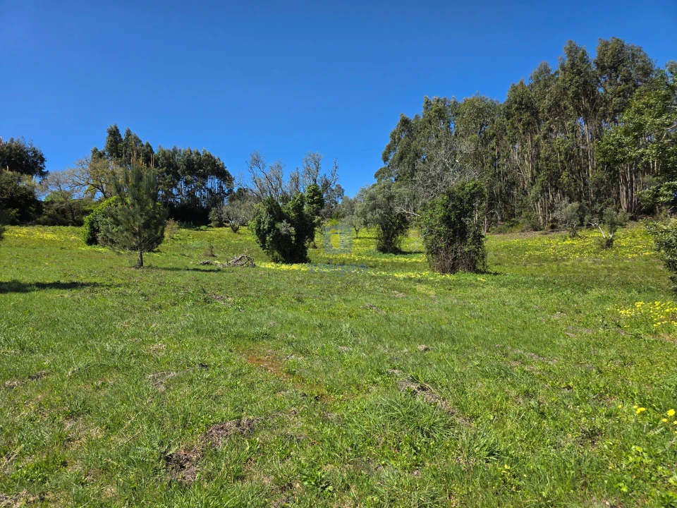Terreno para Venda em Lamas e Cercal Foto 1
