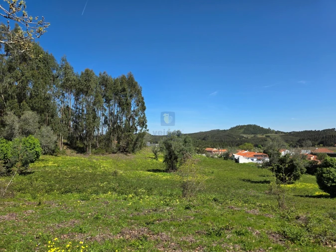 Terreno para Venda em Lamas e Cercal Foto 7