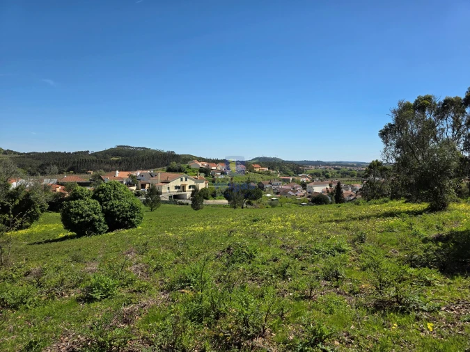 Terreno para Venda em Lamas e Cercal Foto 6
