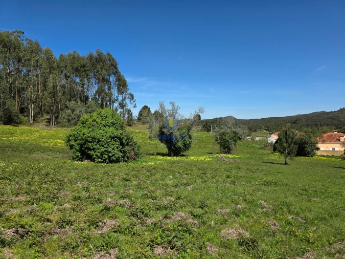 Terreno para Venda em Lamas e Cercal Foto 4