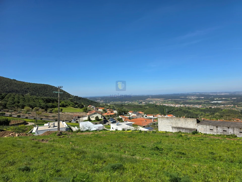 Terreno para Venda em Lamas e Cercal Foto 7