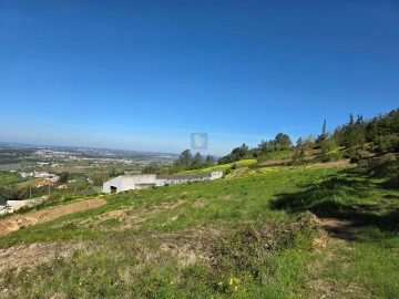 Terreno para Venda em Lamas e Cercal