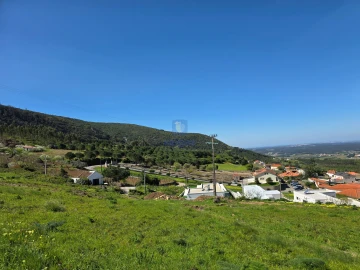 Terreno para Venda em Lamas e Cercal