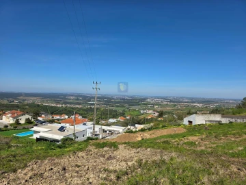 Terreno para Venda em Lamas e Cercal
