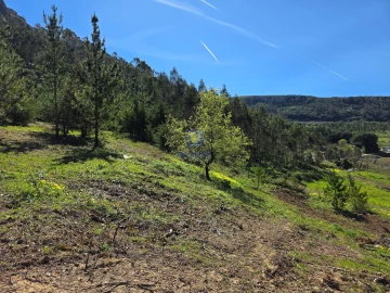 Terreno para Venda em Lamas e Cercal