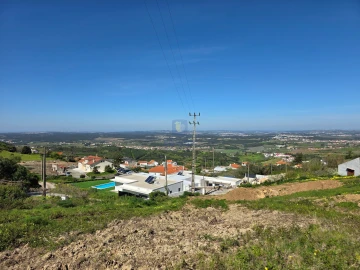 Terreno para Venda em Lamas e Cercal