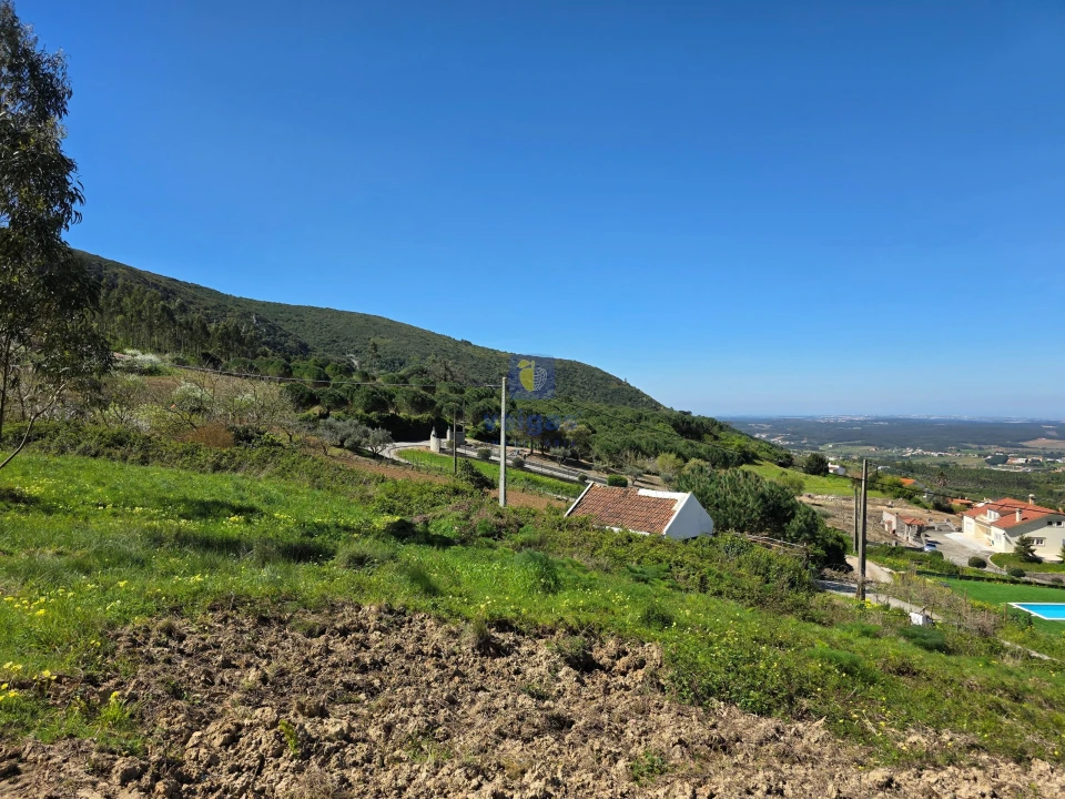 Terreno para Venda em Lamas e Cercal Foto 2