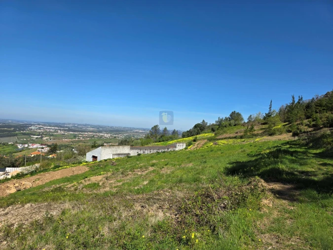 Terreno para Venda em Lamas e Cercal Foto 3