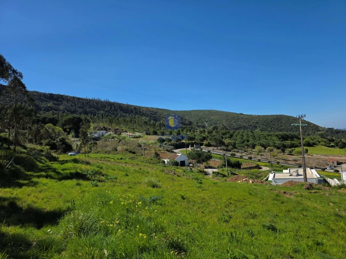 Terreno para Venda em Lamas e Cercal Foto 5