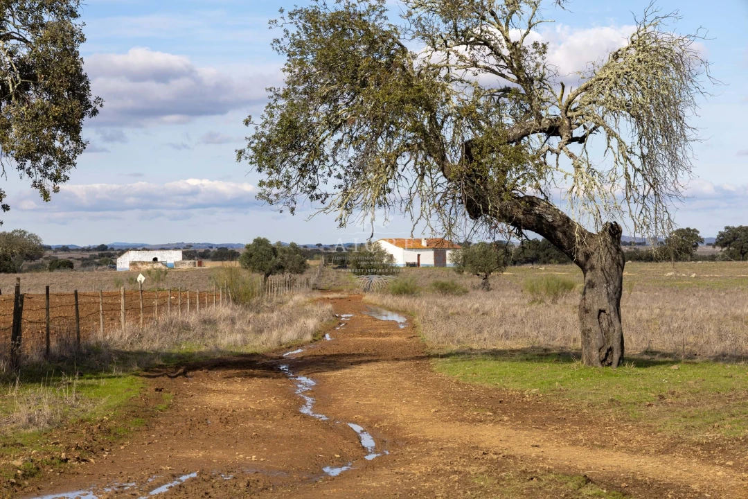 Quinta T12 para Venda em Malagueira e Horta das Figueiras Foto 32