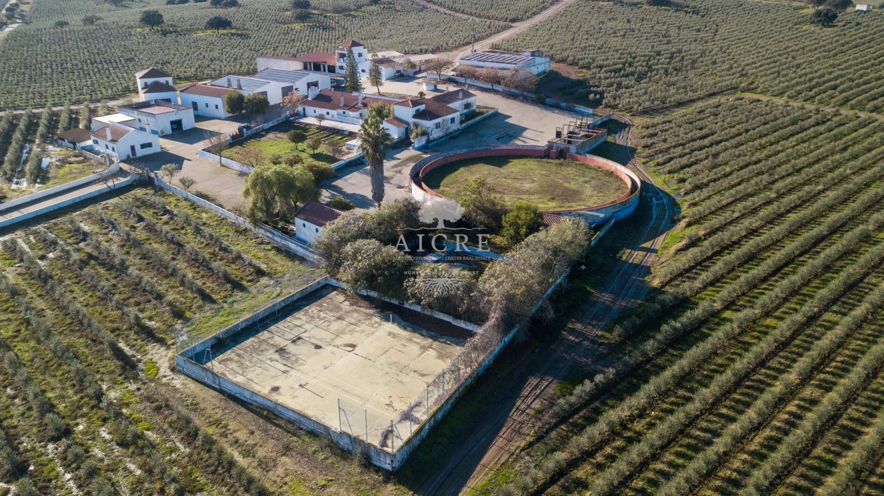 Quinta T12 para Venda em Malagueira e Horta das Figueiras Foto 101