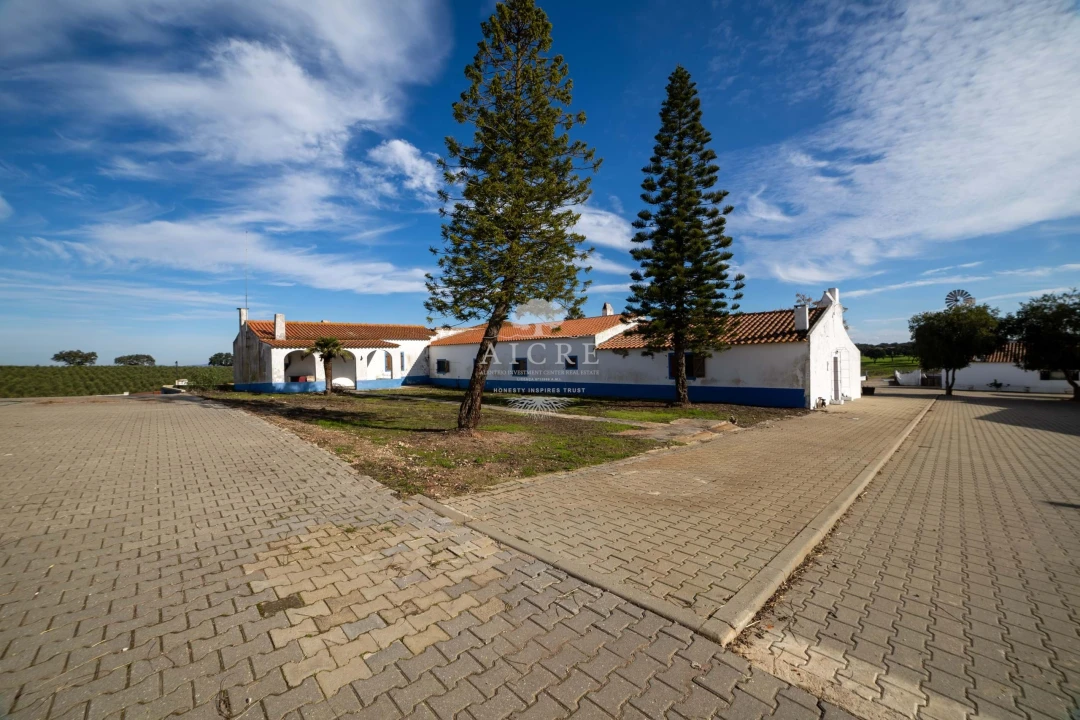 Quinta T12 para Venda em Malagueira e Horta das Figueiras Foto 10