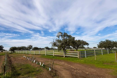 Quinta T12 para Venda em Malagueira e Horta das Figueiras