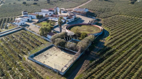 Quinta T12 para Venda em Malagueira e Horta das Figueiras