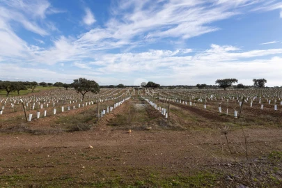 Quinta T12 para Venda em Malagueira e Horta das Figueiras