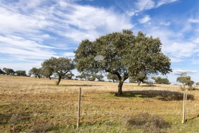 Quinta T12 para Venda em Malagueira e Horta das Figueiras