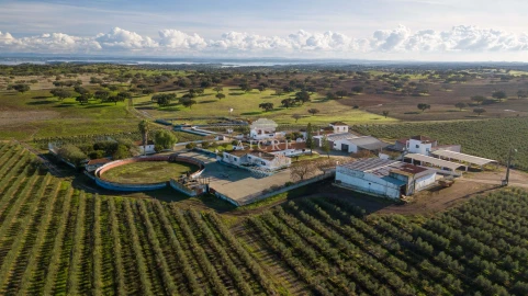 Quinta T12 para Venda em Malagueira e Horta das Figueiras
