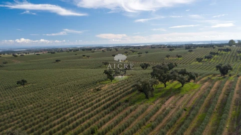 Quinta T12 para Venda em Malagueira e Horta das Figueiras