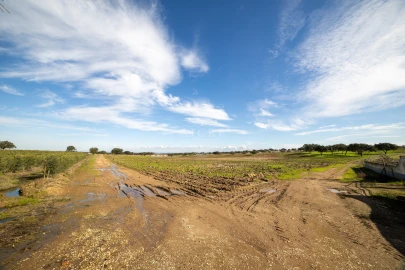 Quinta T12 para Venda em Malagueira e Horta das Figueiras