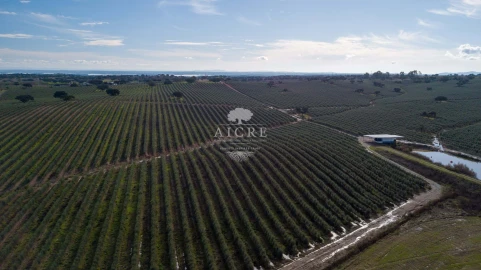 Quinta T12 para Venda em Malagueira e Horta das Figueiras