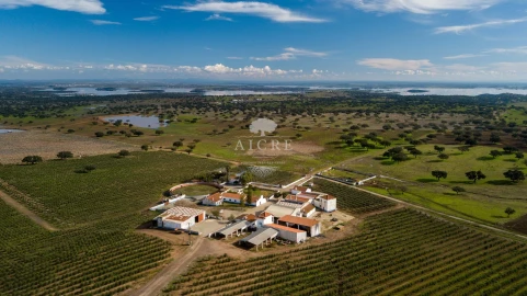 Quinta T12 para Venda em Malagueira e Horta das Figueiras