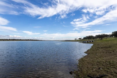 Quinta T12 para Venda em Malagueira e Horta das Figueiras