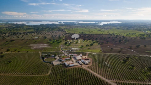 Quinta T12 para Venda em Malagueira e Horta das Figueiras