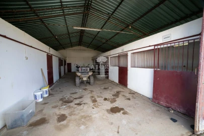 Quinta T12 para Venda em Malagueira e Horta das Figueiras