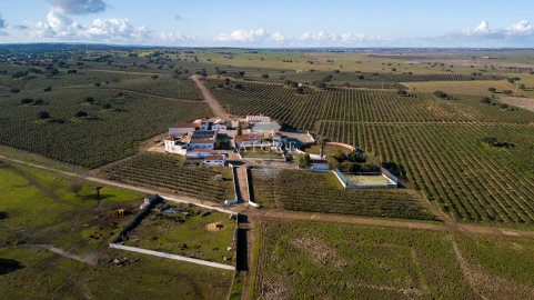 Quinta T12 para Venda em Malagueira e Horta das Figueiras