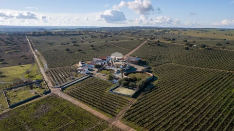 Quinta T12 para Venda em Malagueira e Horta das Figueiras
