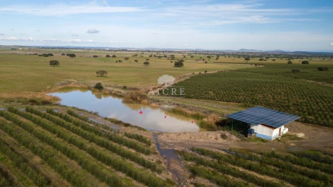 Quinta T12 para Venda em Malagueira e Horta das Figueiras