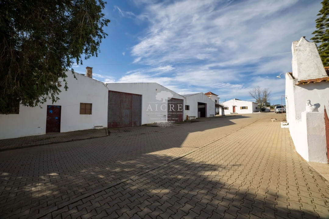 Quinta T12 para Venda em Malagueira e Horta das Figueiras Foto 13