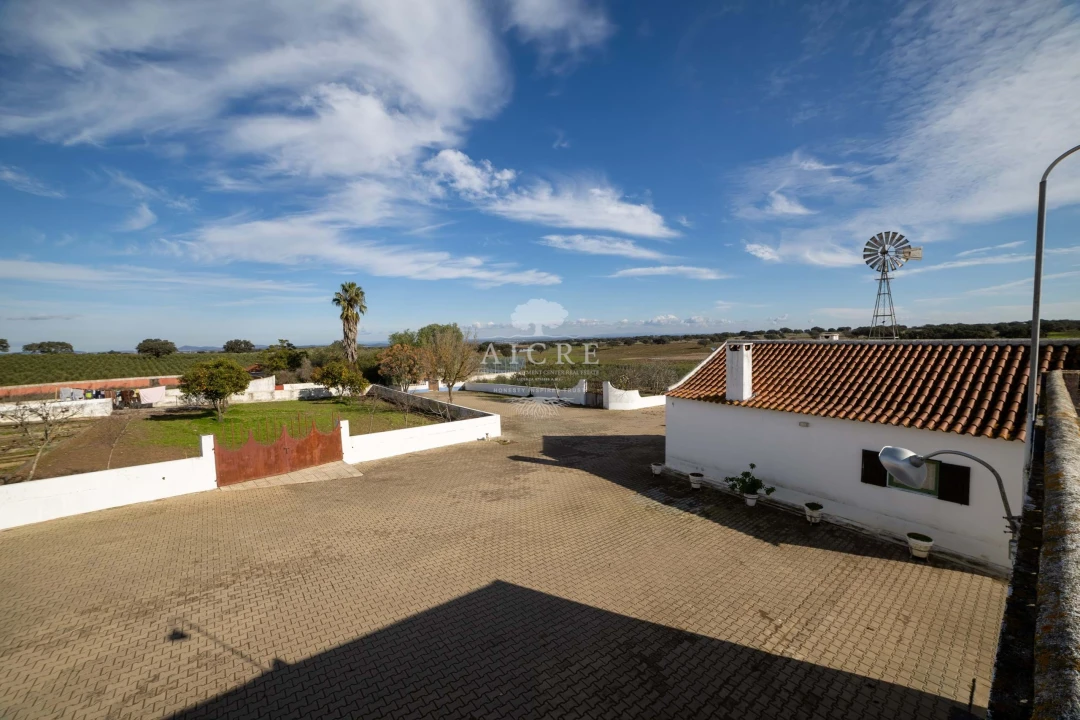 Quinta T12 para Venda em Malagueira e Horta das Figueiras Foto 17