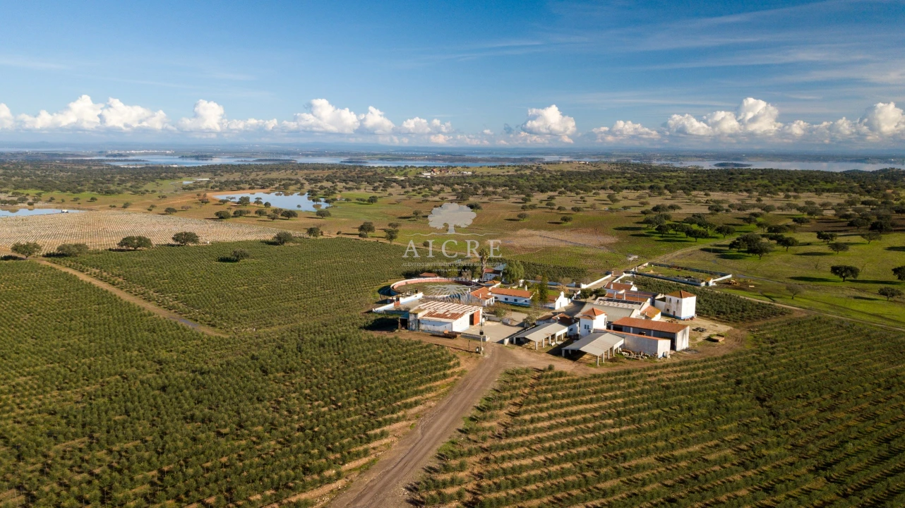 Quinta T12 para Venda em Malagueira e Horta das Figueiras Foto 97