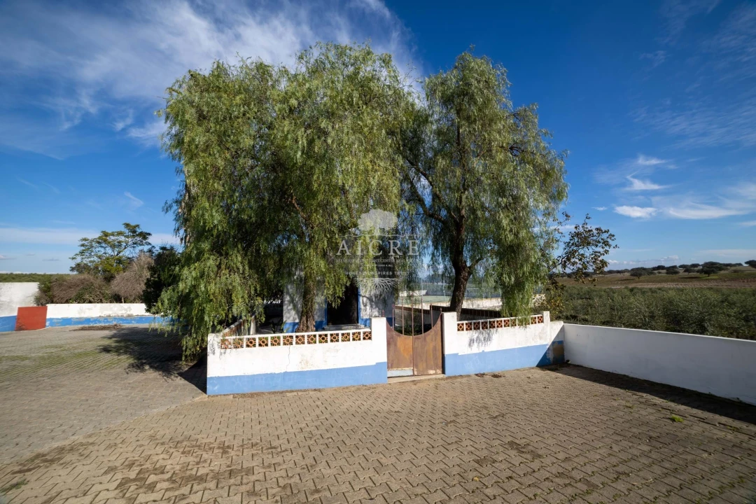 Quinta T12 para Venda em Malagueira e Horta das Figueiras Foto 21