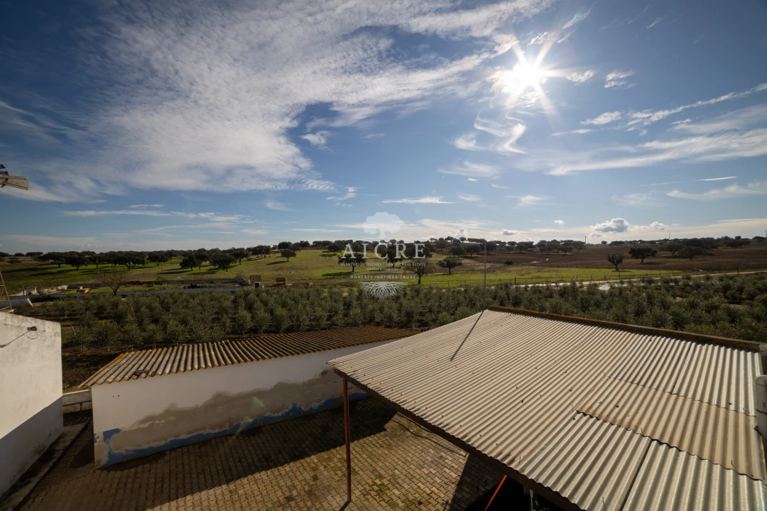 Quinta T12 para Venda em Malagueira e Horta das Figueiras Foto 18