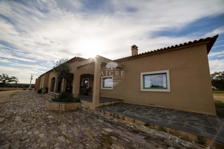 Quinta T12 para Venda em Malagueira e Horta das Figueiras Foto 47