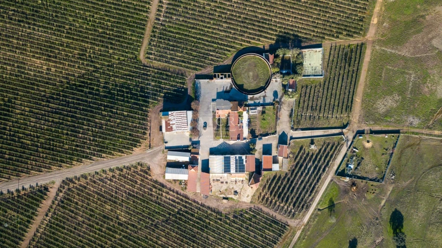 Quinta T12 para Venda em Malagueira e Horta das Figueiras Foto 98