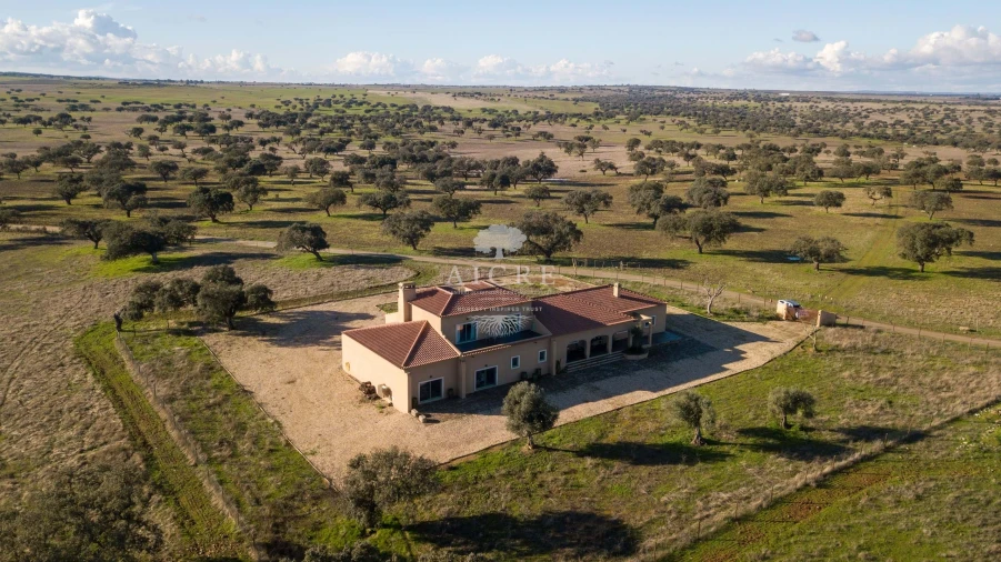 Quinta T12 para Venda em Malagueira e Horta das Figueiras Foto 107